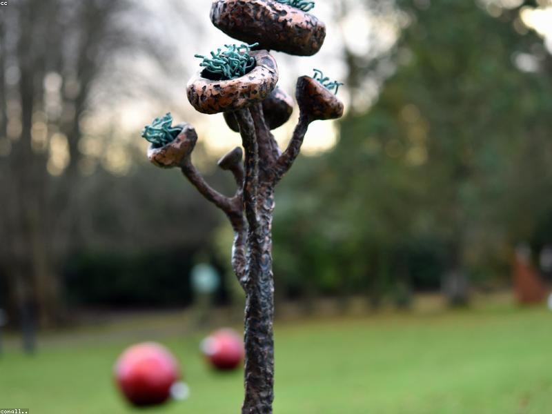 Botanical Garden Villa